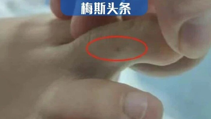 香港一肖中特期期准选料1免费管家婆资料,我当然知道那不是我的月亮,详细释义解释落实_界面版V1.95